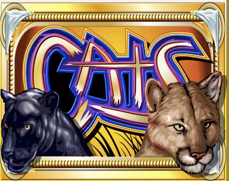Trucos Cats para jugar online al casino