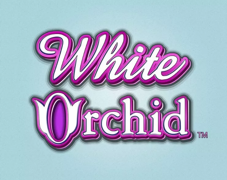 Trucos White Orchid para jugar online al casino