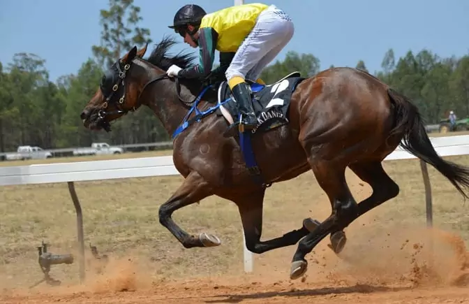 Promoción de reembolso diario en las carreras de caballo en Betcris México