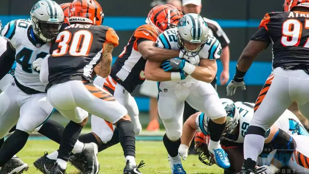 Predicción Bengals vs Panthers 🏈 Apuestas NFL 2022
